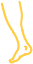 icon-leg